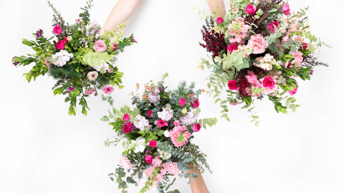 Offer Fleurs d'Ici