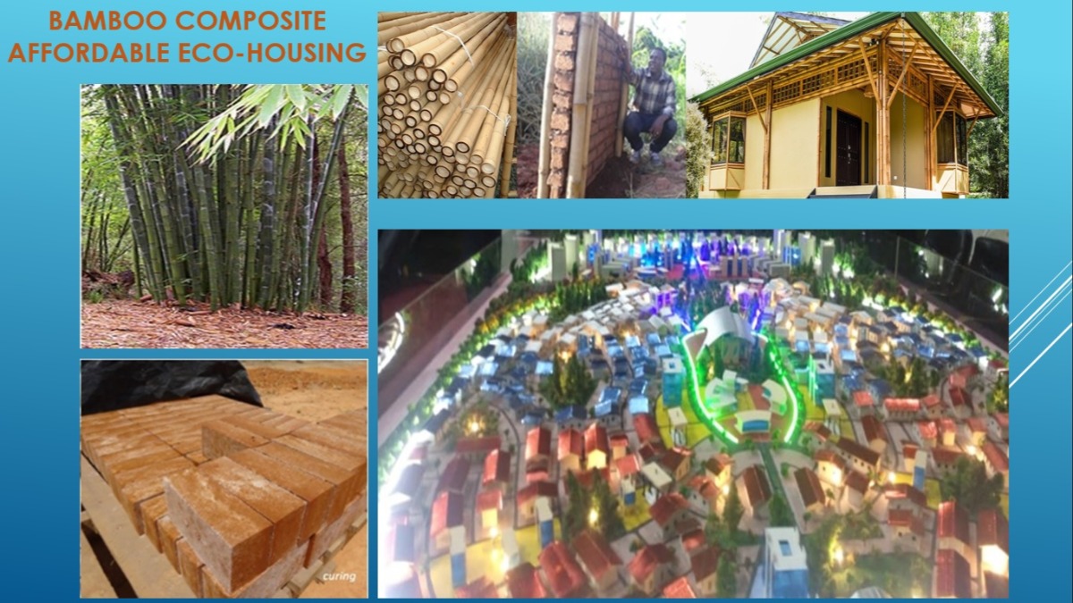 Offer BAMBOO FOR CITIES OF ECOLOGICAL CIVILIZATION