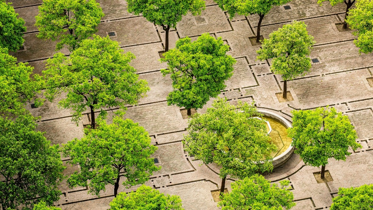 Offer Map A Tree