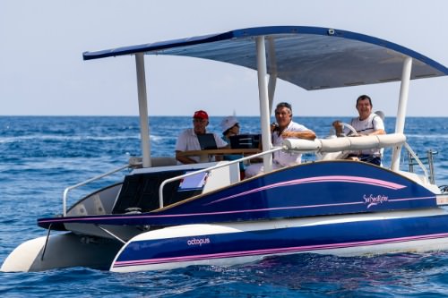 Gallery SUNCY Solar Boats & Concept 1