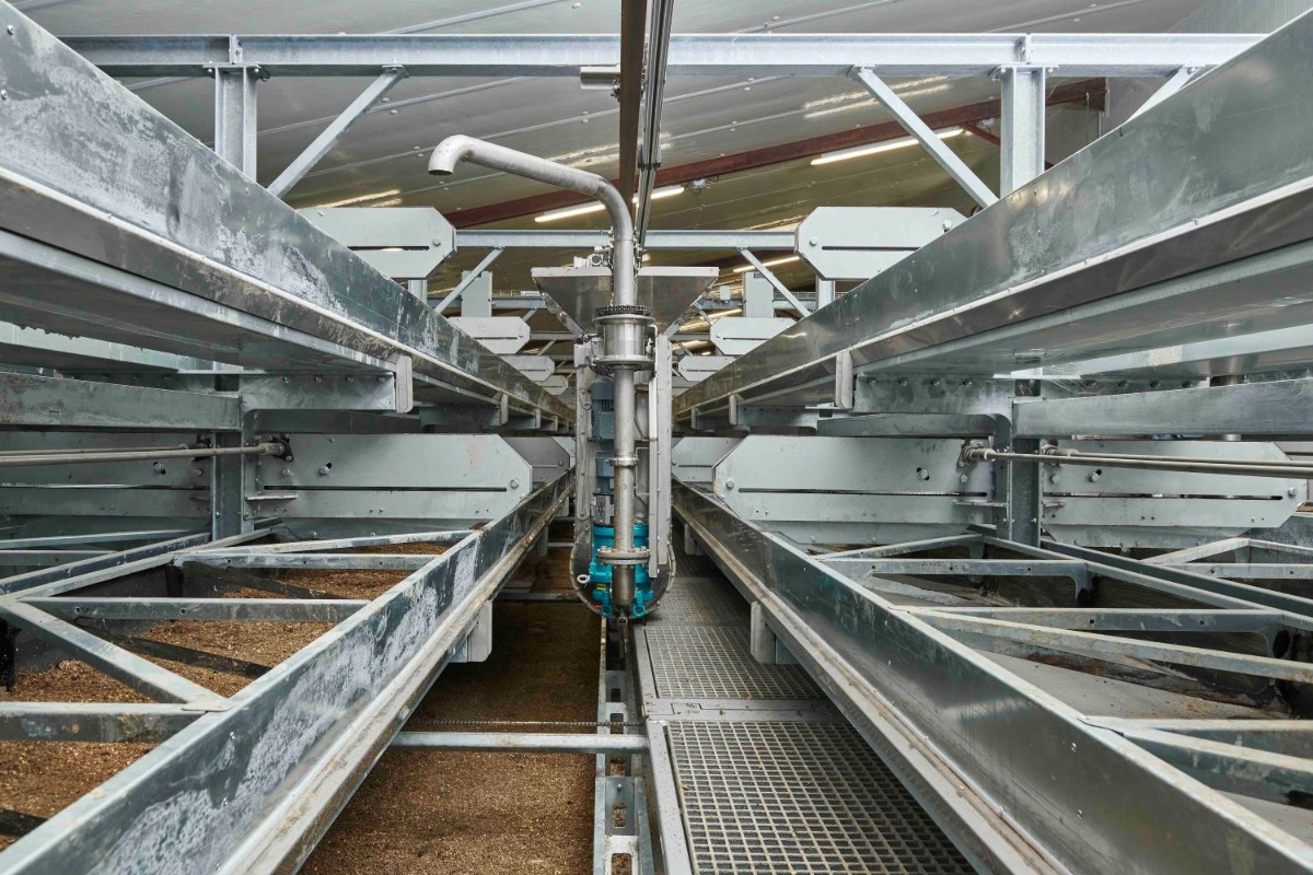 Gallery Optimizing insect rearing to catch its potential 1
