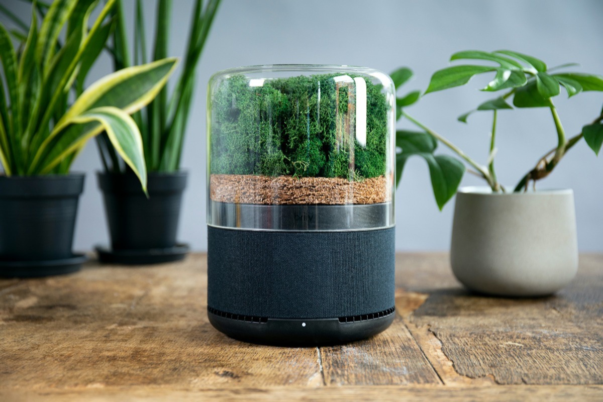 Gallery Briiv Air Purifier 1