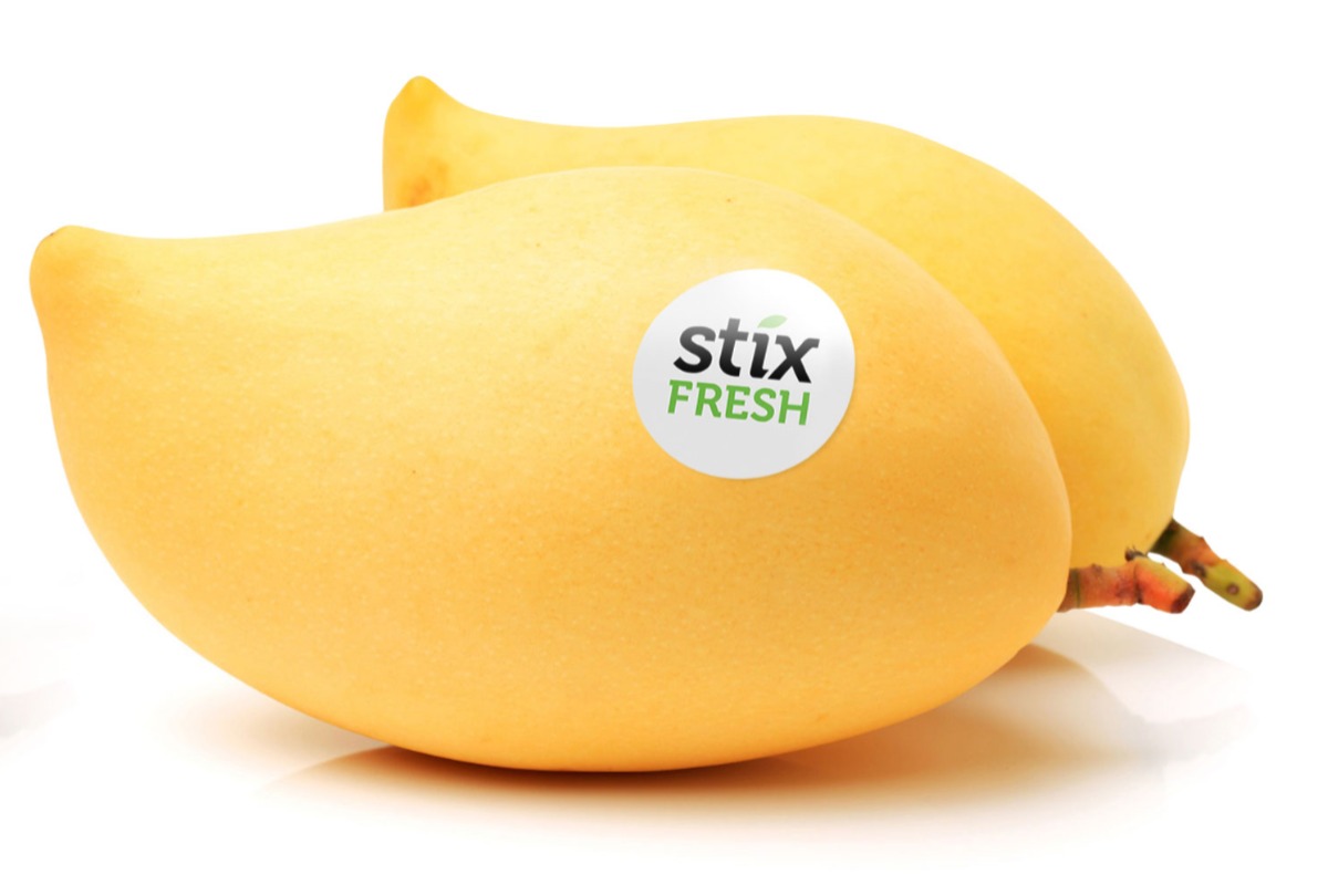 Gallery StixFresh 1