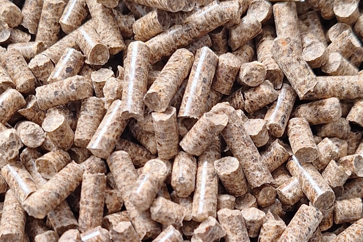 Gallery Branch pellet 1