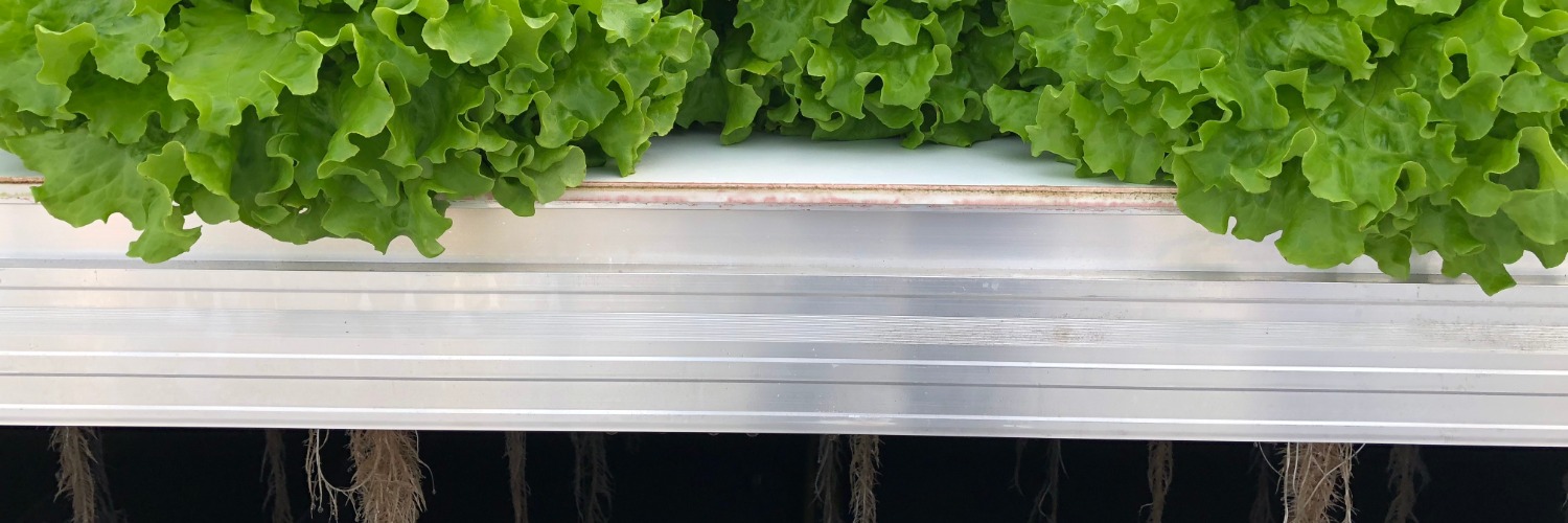 Gallery Mobile Aeroponics Farming 1