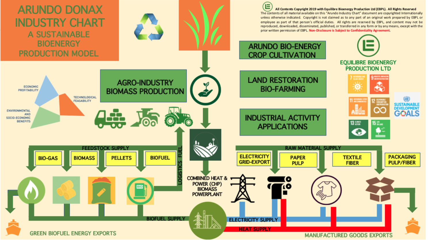 Gallery Bioenergy from Arundo Donax Biomass 2