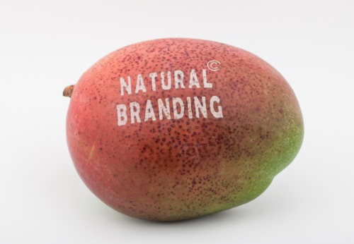 Gallery NATURAL BRANDING 2