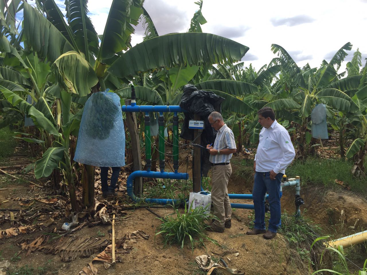 Gallery AQUA4D: Water-Smart Irrigation 3