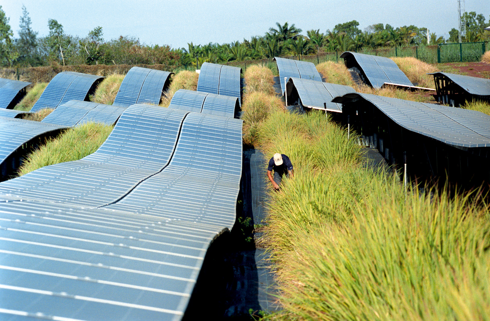 Agrinergie Solar Impulse Efficient Solution