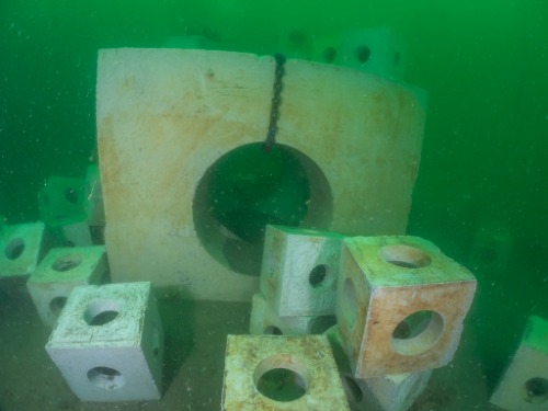 Gallery Reef Cubes® & Marinecrete  3
