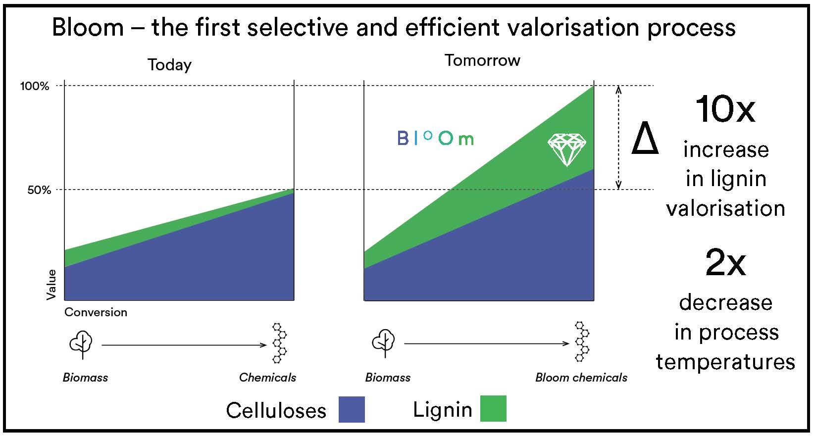 Gallery Bloom Biorenewables 4