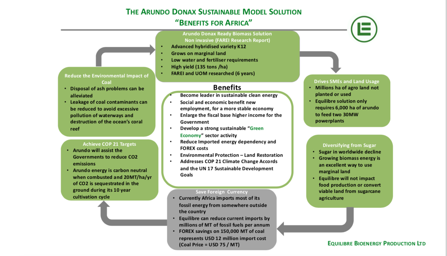 Gallery Bioenergy from Arundo Donax Biomass 4