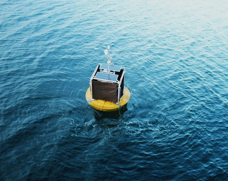 Gallery Wave-powered desalination buoys 4