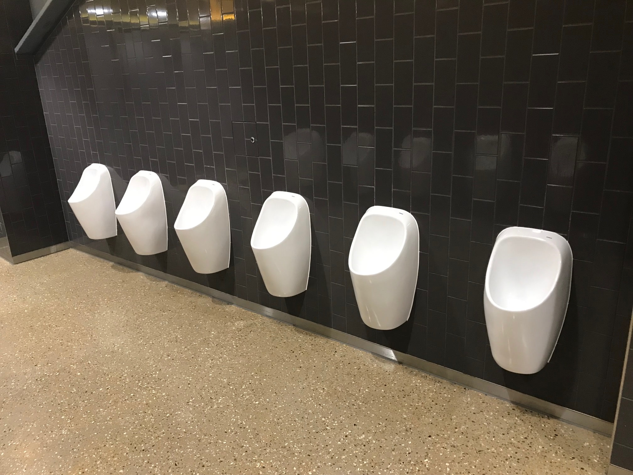 Gallery Waterless Urinal 4