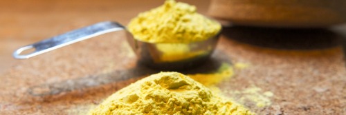 Gallery The Most Sustainable Protein : Alver Golden Chlorella  4