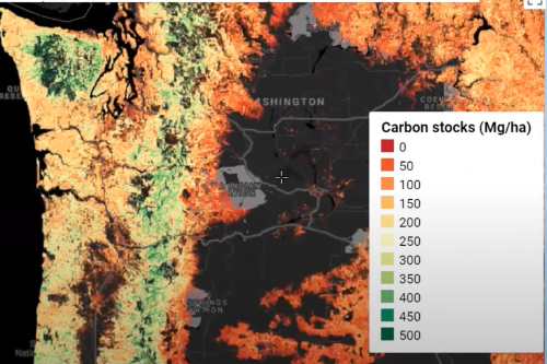 Gallery Carbon Map 1