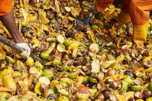 InsectiPro's protein and fertilizer solutions