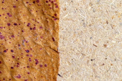 Releaf Paper Material