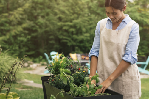 Keter Polyal Planters