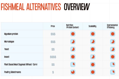 Mycroprotein sustainable fishfeed