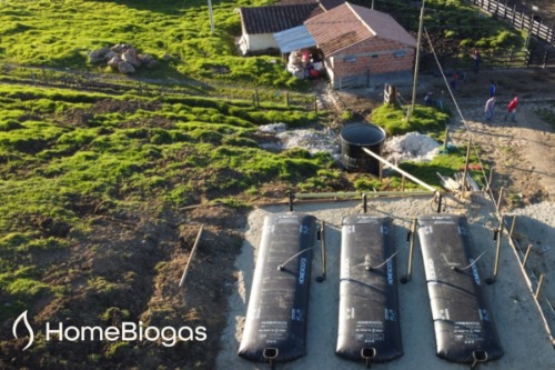 Dairy Farmers System​