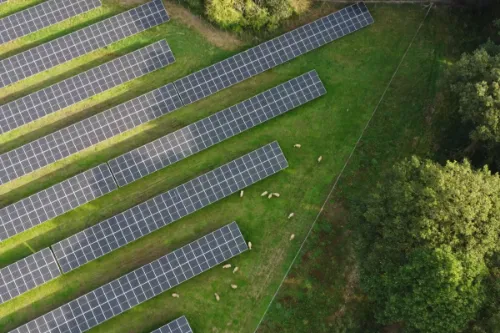 Agrivoltaics - Solar & Agriculture co-location