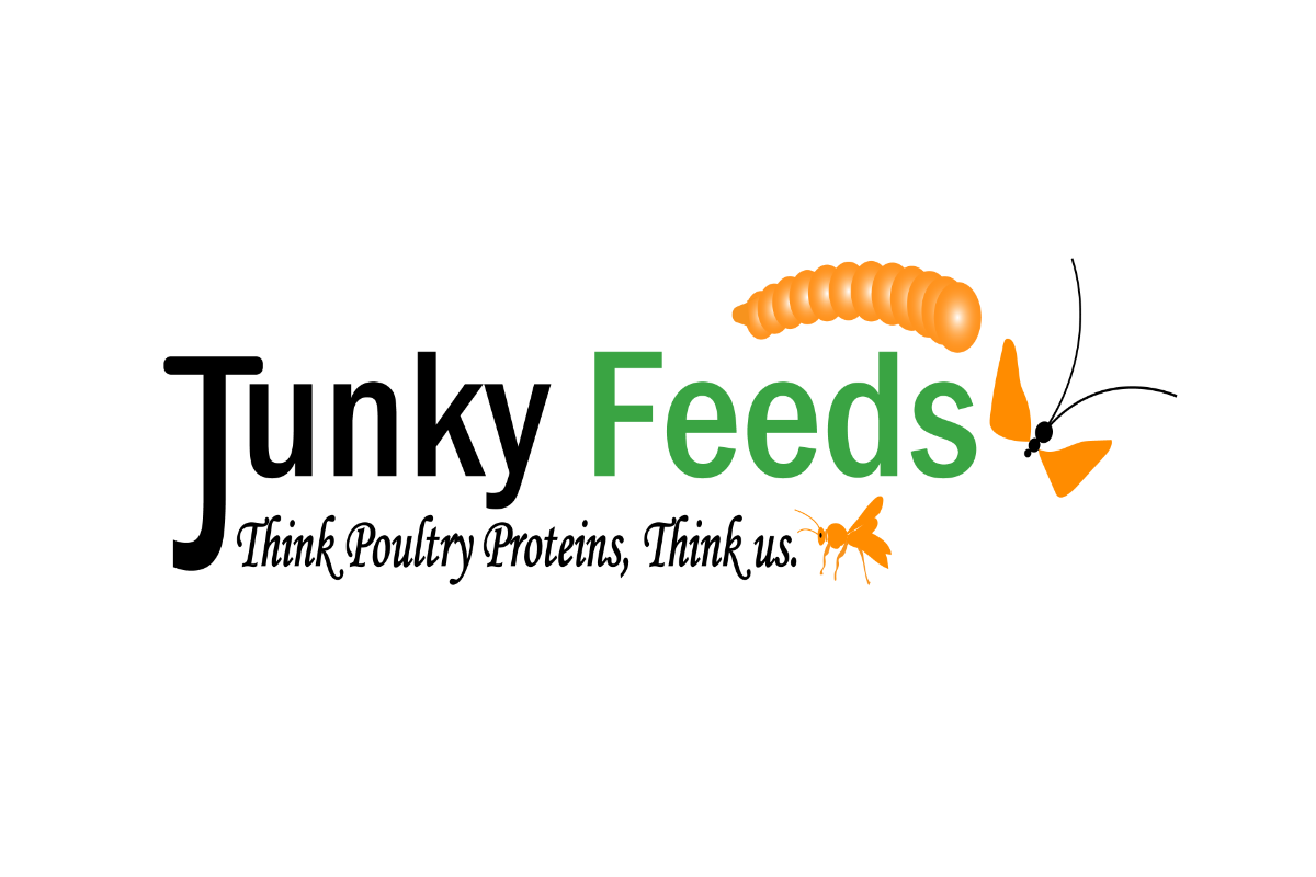 Junky Bins BSF Project