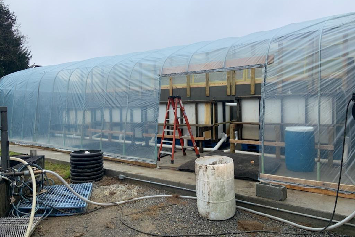 Self-Organizing Wetland Bioreactors