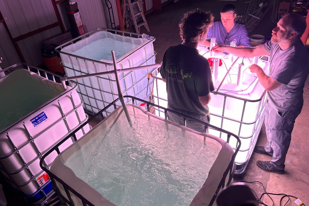 Revitalizing Marine Ecosystems