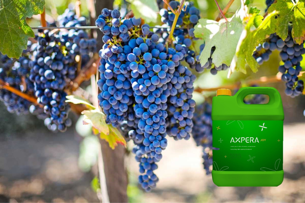 AXPERA - biocontrol Solution