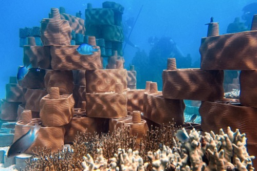 rrreefs - rethinking, rebuilding, regenerating 
