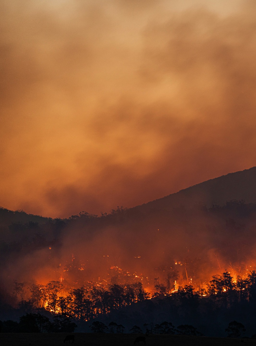 Solutions pour le réchauffement climatique